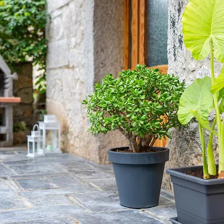 Hébergement de vacances Eredità Milohnici